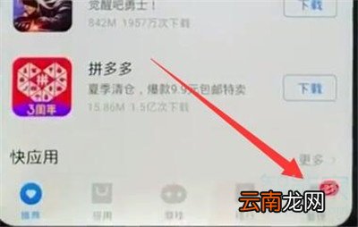 iqoopro怎么更新应用