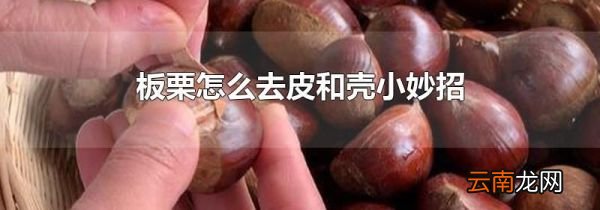 板栗怎么去皮和壳小妙招