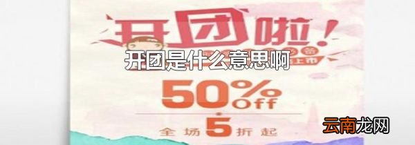 开团是什么意思啊