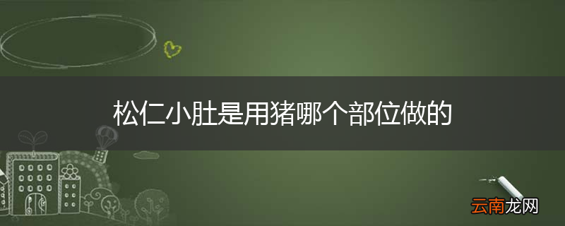 松仁小肚是用猪哪个部位做的