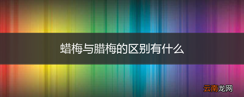 蜡梅与腊梅的区别有什么