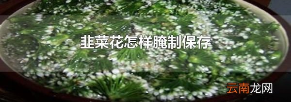 韭菜花怎样腌制保存