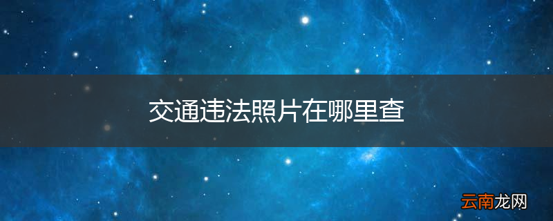 交通违法照片在哪里查