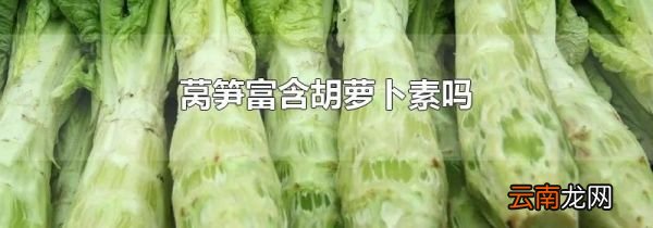 莴笋富含胡萝卜素吗