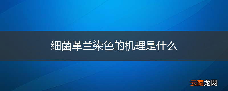 细菌革兰染色的机理是什么