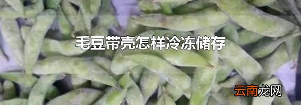 毛豆带壳怎样冷冻储存