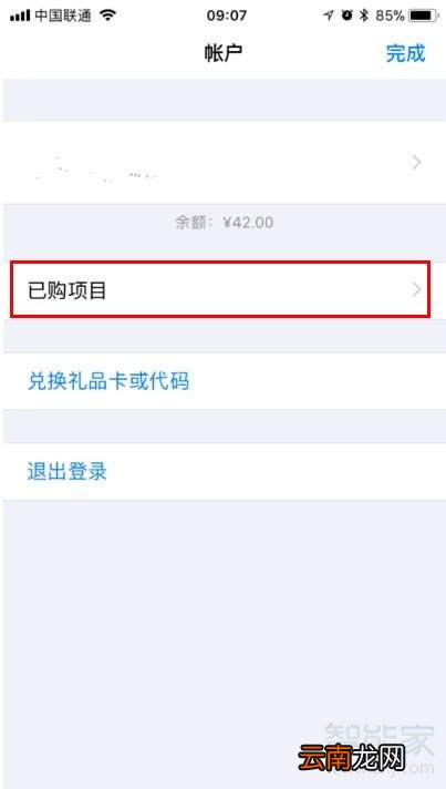 苹果手机已购项目在哪