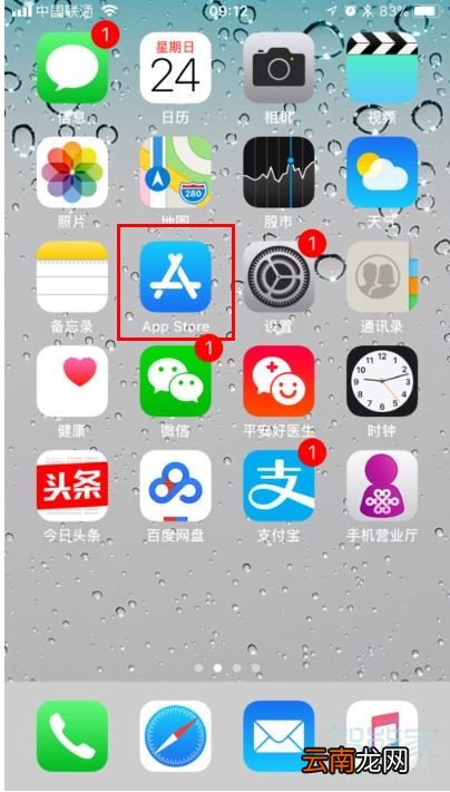 苹果手机已购项目在哪