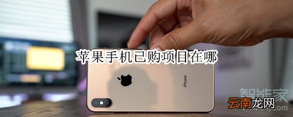 苹果手机已购项目在哪