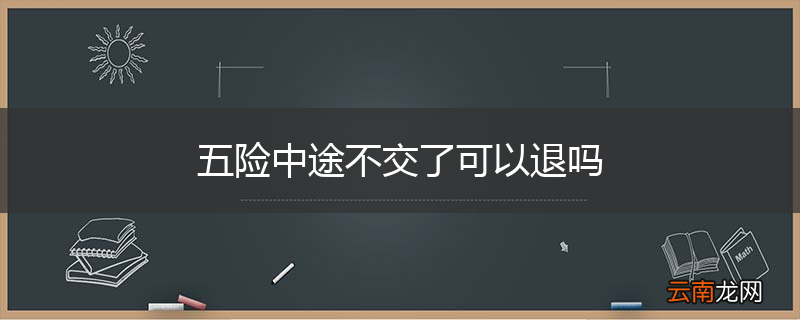 五险中途不交了可以退吗
