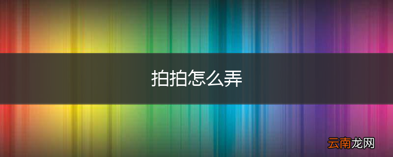 拍拍怎么弄