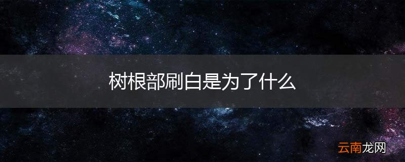 树根部刷白是为了什么
