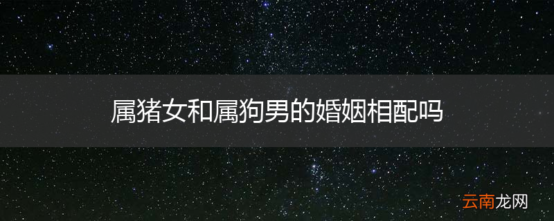 属猪女和属狗男的婚姻相配吗