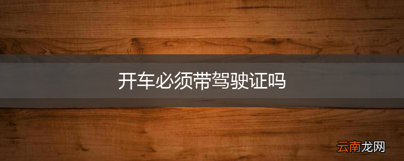 开车必须带驾驶证吗