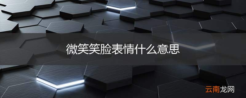 微笑笑脸表情什么意思