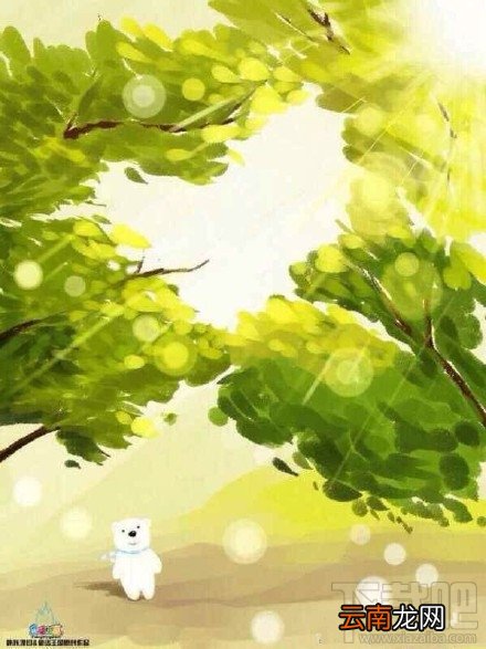 附打包下载 奇幻咔咔3D小熊图片高清无水印版