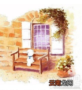 附打包下载 奇幻咔咔3D小熊图片高清无水印版