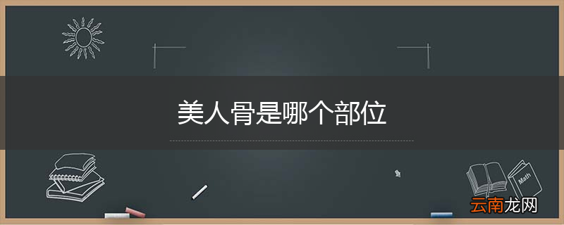 美人骨是哪个部位