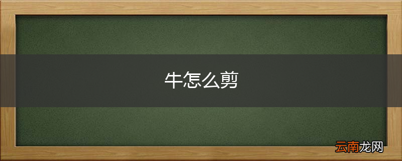 牛怎么剪