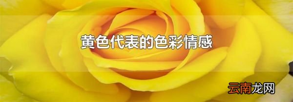 黄色代表的色彩情感
