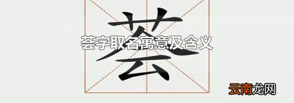 荟字取名寓意及含义
