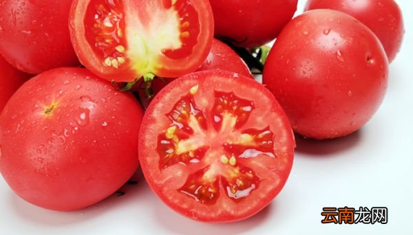 番茄是蔬菜还是水果 番茄是蔬菜还是水果类