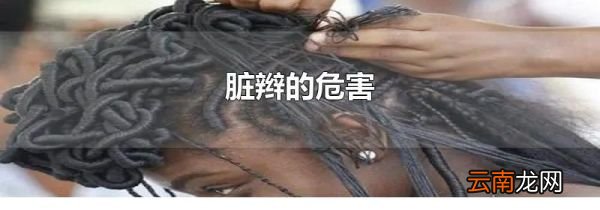 脏辫的危害