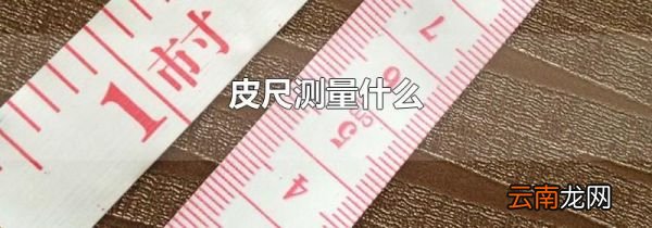 皮尺测量什么