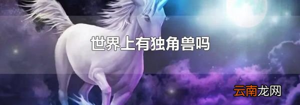 世界上有独角兽吗