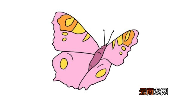 蝴蝶简笔画的步骤蝴蝶简笔画的画法