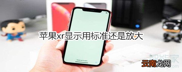 苹果xr显示用标准还是放大