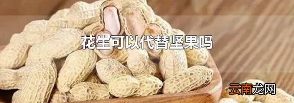 花生可以代替坚果吗