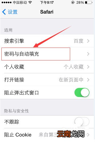 iPhone苹果手机怎么存储网站的登录信息