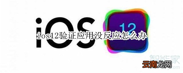 ios12验证应用没反应怎么办