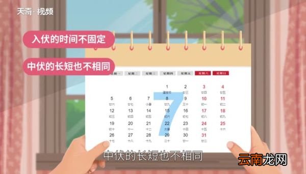 一个伏天是几天呢 一伏多少天