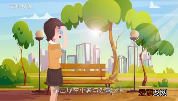 一个伏天是几天呢 一伏多少天