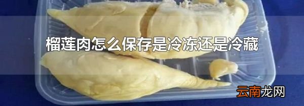 榴莲肉怎么保存是冷冻还是冷藏