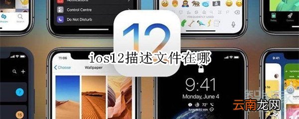 ios12描述文件在哪
