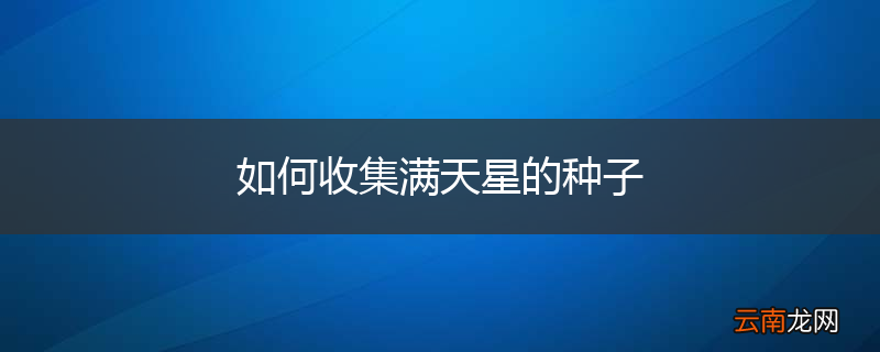如何收集满天星的种子