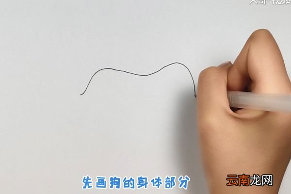 电子狗简笔画