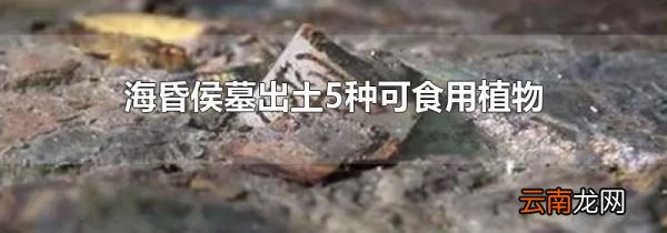 海昏侯墓出土5种可食用植物