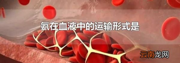 氨在血液中的运输形式是