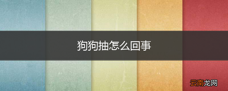 狗狗抽怎么回事