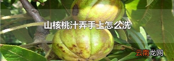 山核桃汁弄手上怎么洗