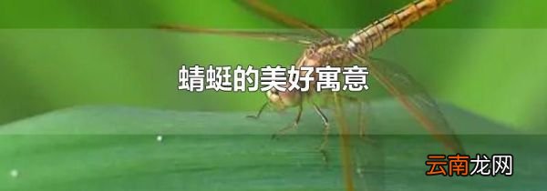 蜻蜓的美好寓意