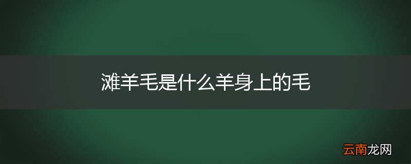 滩羊毛是什么羊身上的毛