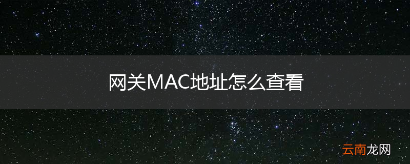网关MAC地址怎么查看