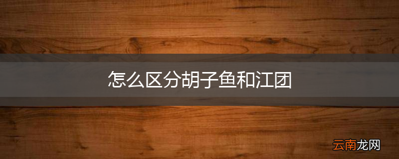 怎么区分胡子鱼和江团