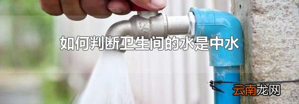 如何判断卫生间的水是中水
