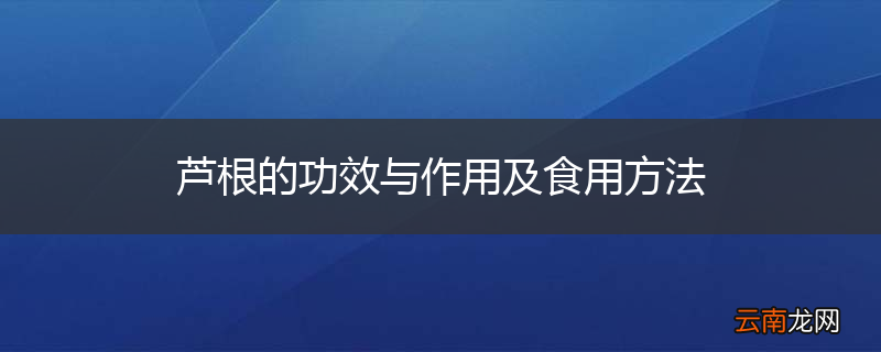 芦根的功效与作用及食用方法